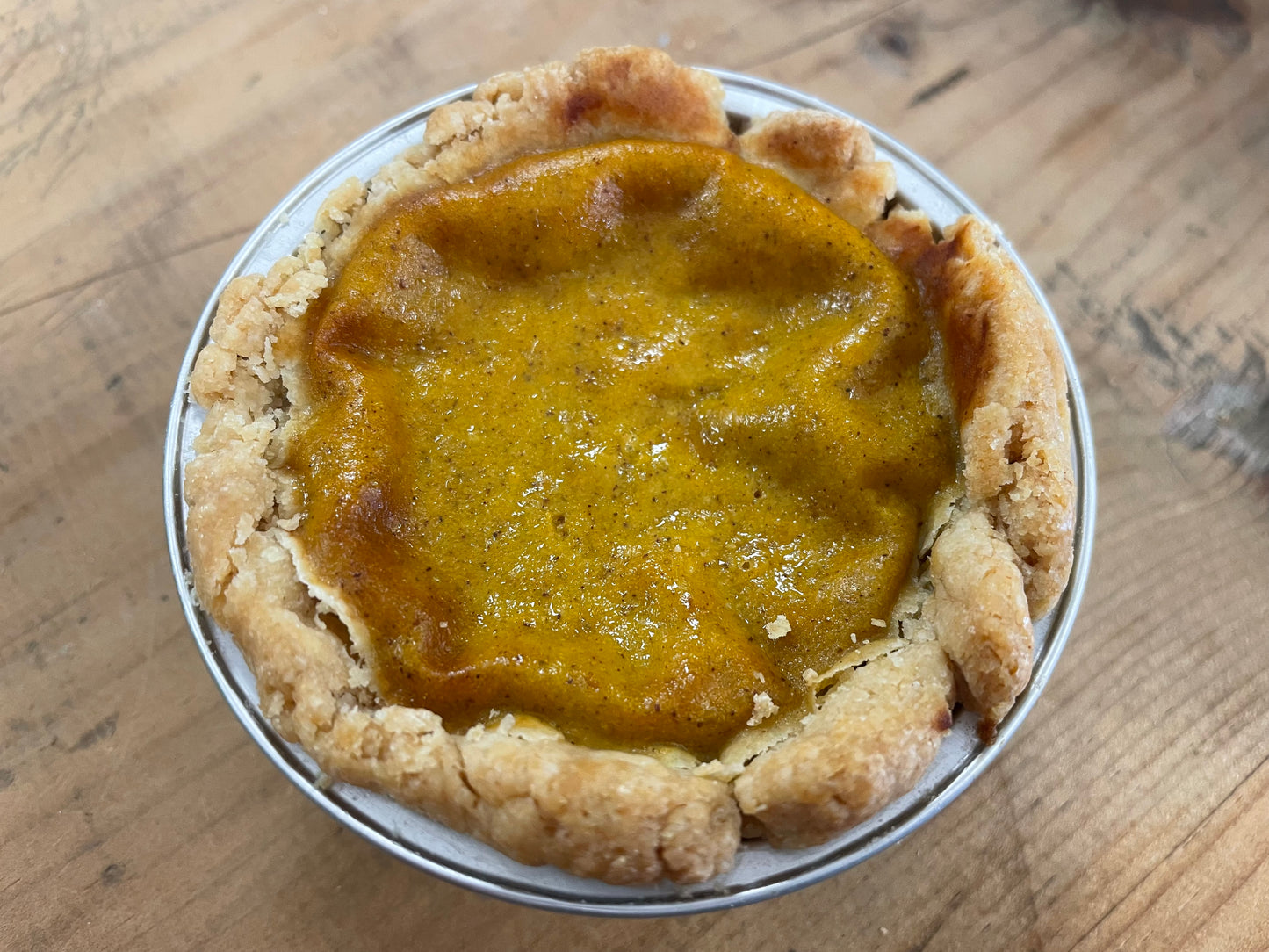 Pumpkin Pie for your Pup!