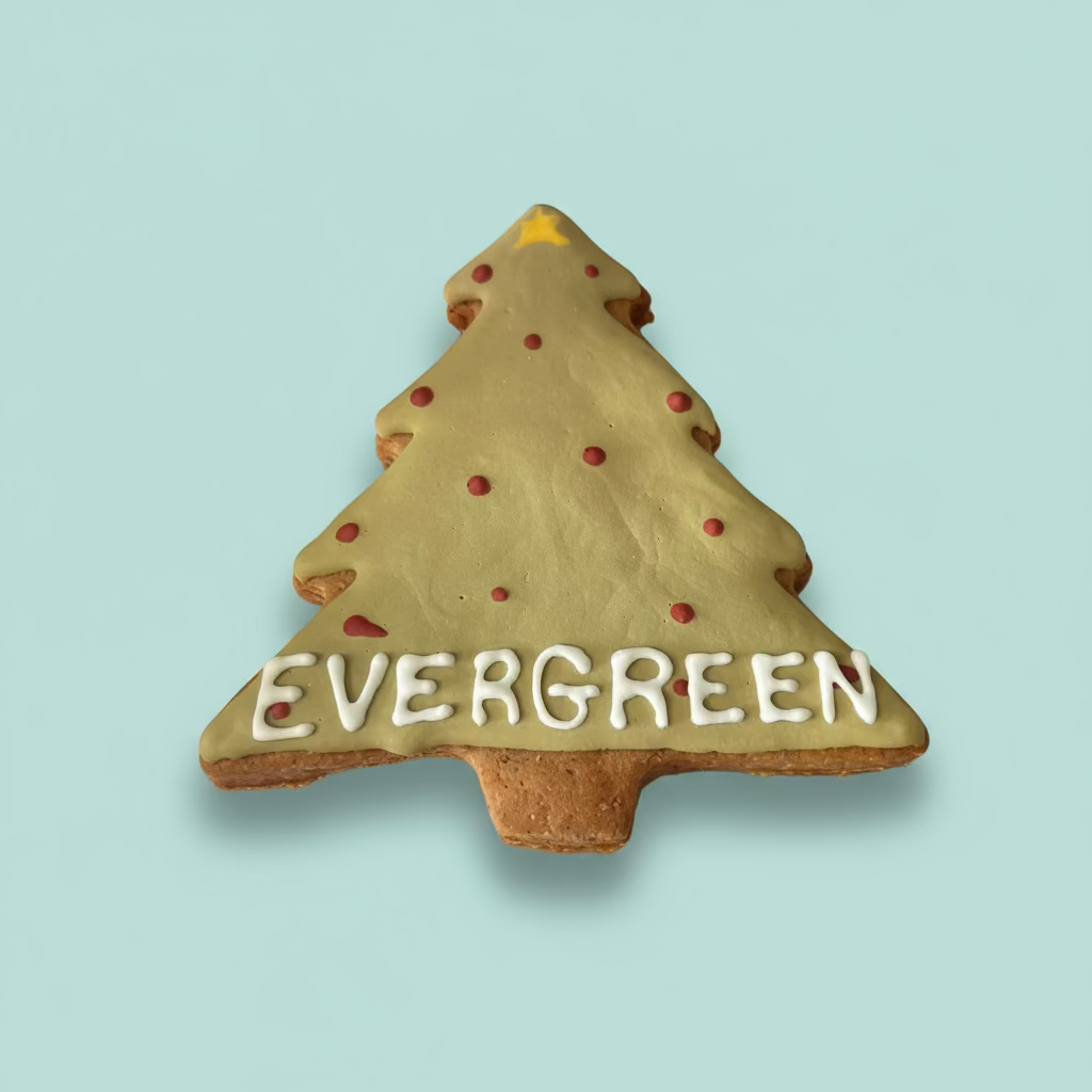 Christmas Tree – Hand-Decorated Gourmet Dog Cookie