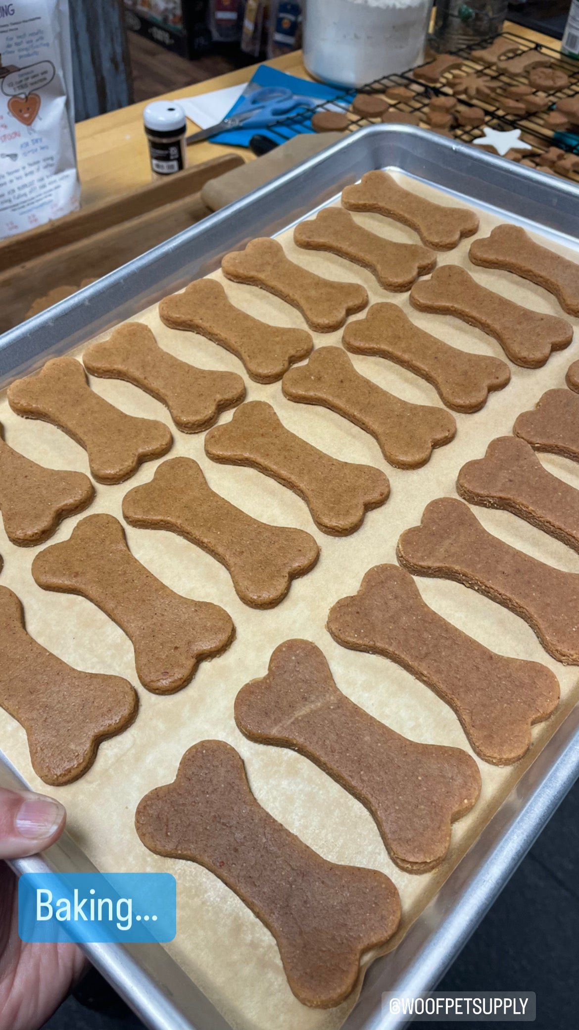 Peanut Butter Bone, 2.5”
