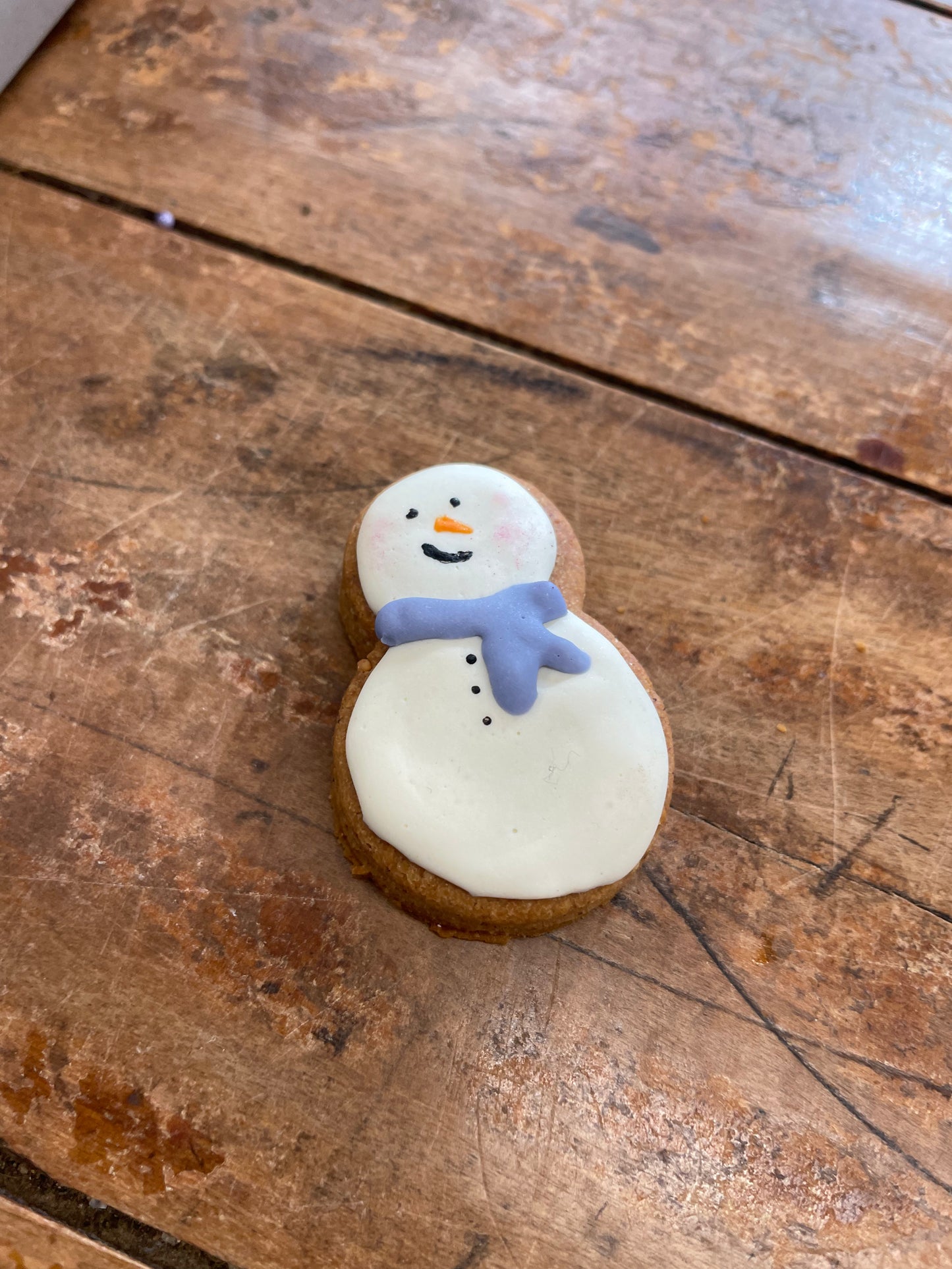 12 Days of Gourmet Dog Cookies