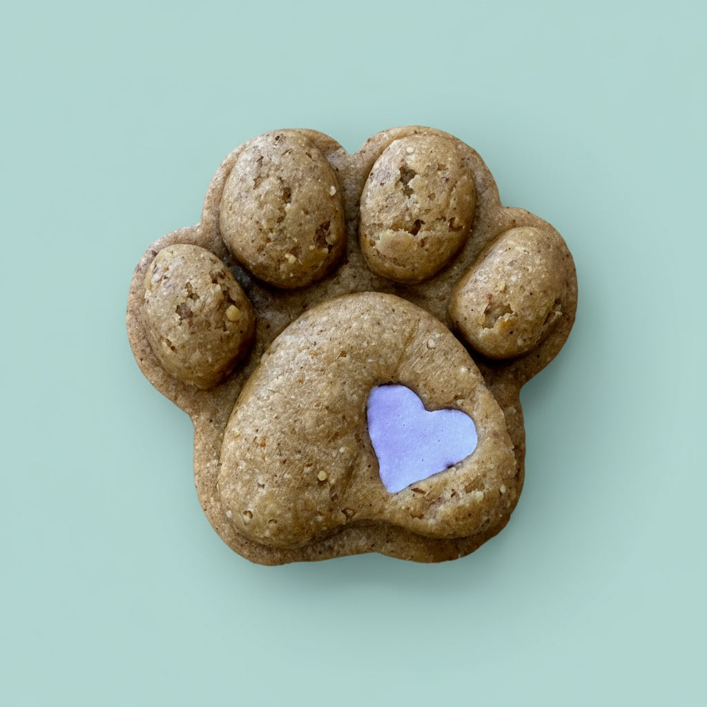 Paw print made of stones with a purple heart