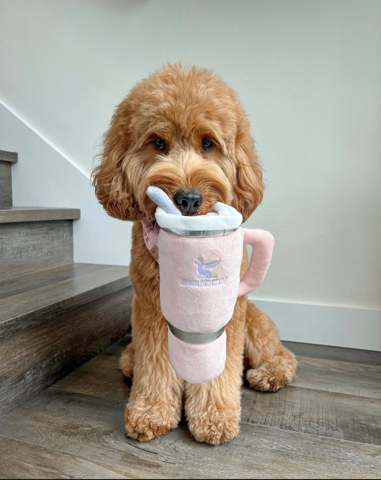 Snuggly Cup