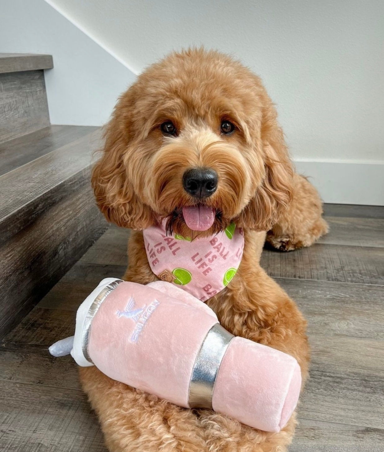 Snuggly Cup