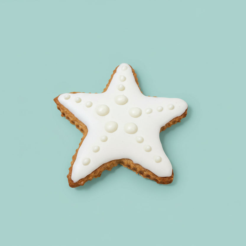 Sea Life – Hand-Decorated Gourmet Dog Cookie