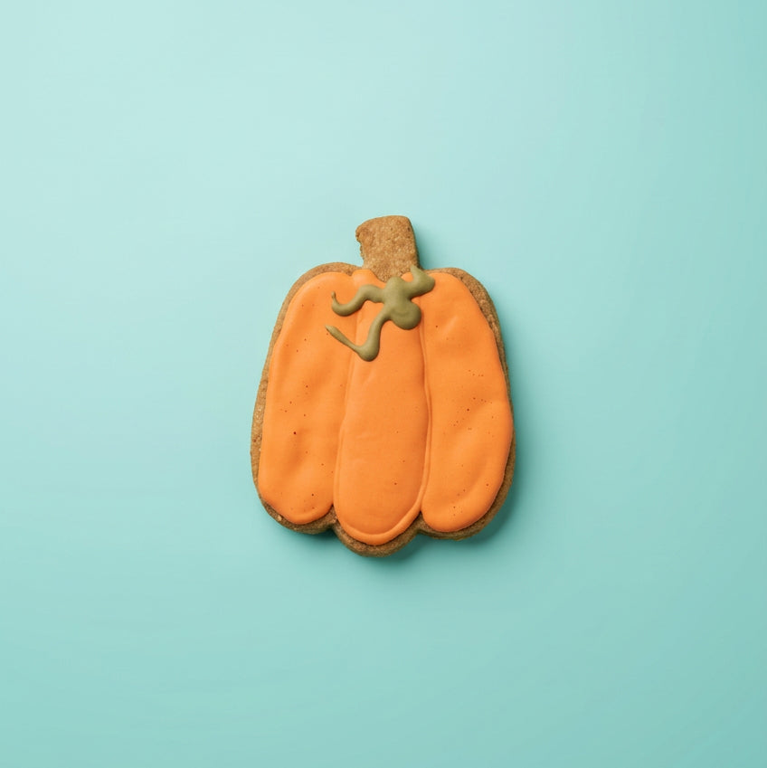Fall Pumpkin – Hand-Decorated Gourmet Dog Cookie