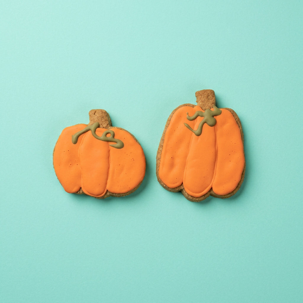 Fall Pumpkin – Hand-Decorated Gourmet Dog Cookie
