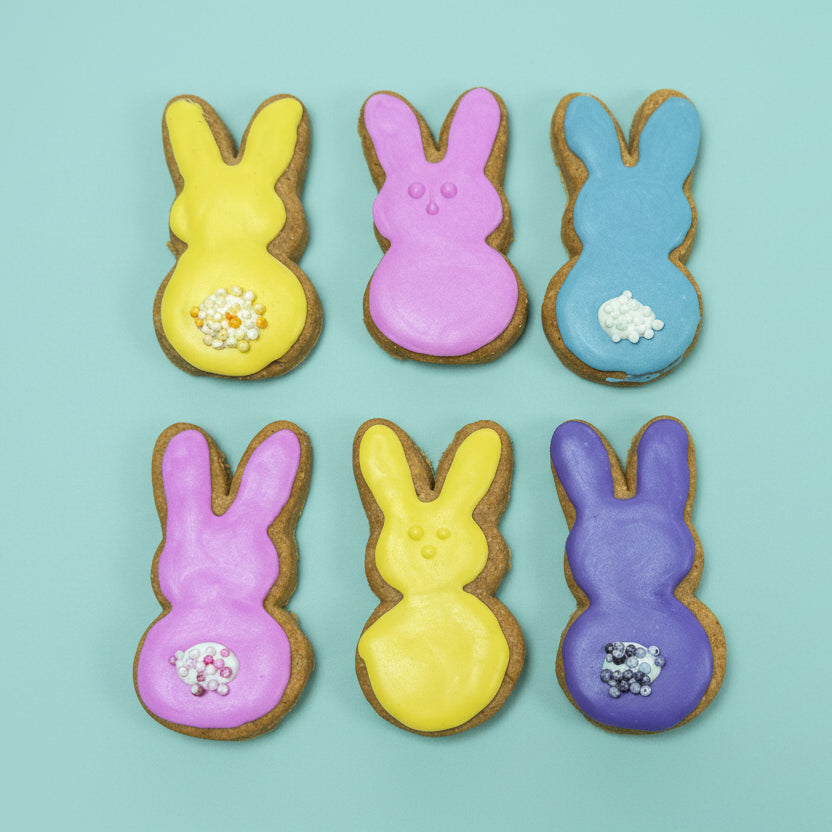 Cotton Tail – Hand-Decorated Gourmet Dog Cookie