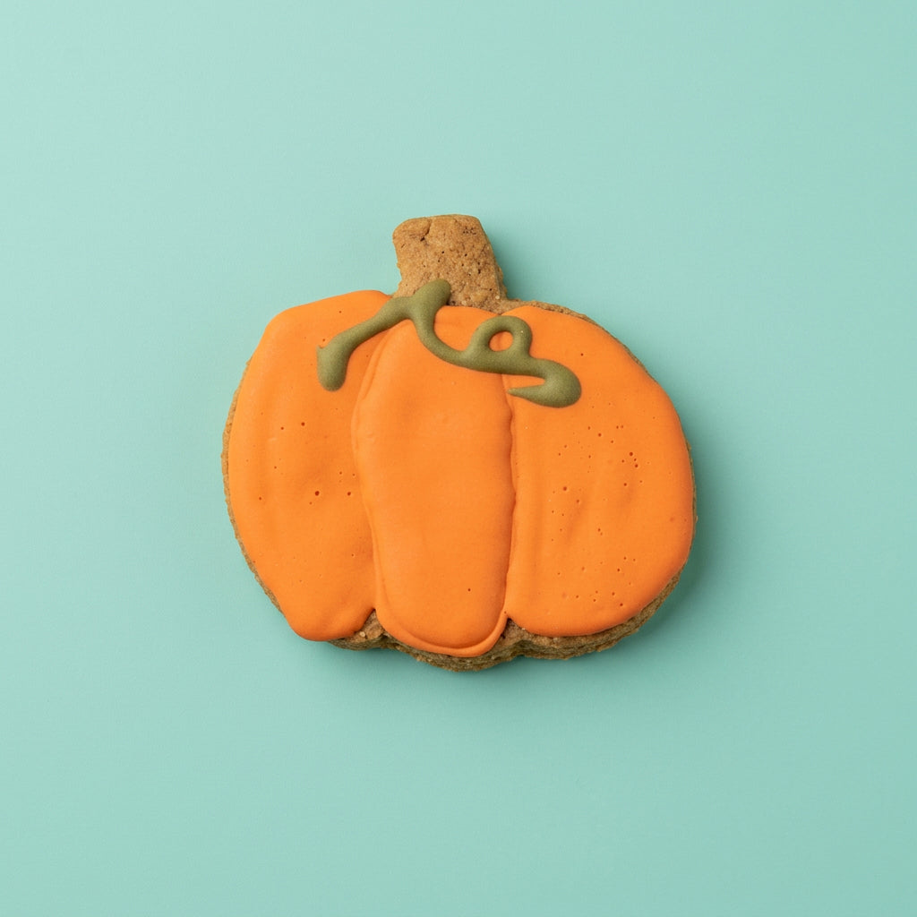 Fall Pumpkin – Hand-Decorated Gourmet Dog Cookie