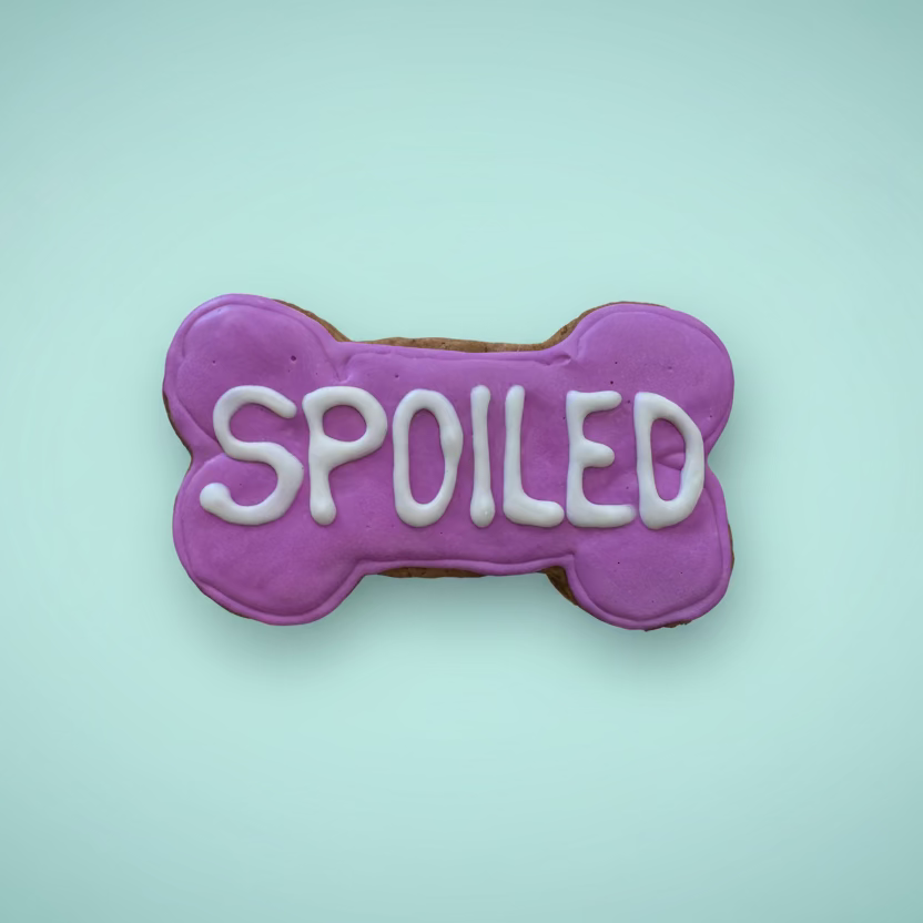 Funny Bones – Hand-Decorated Gourmet Dog Cookie