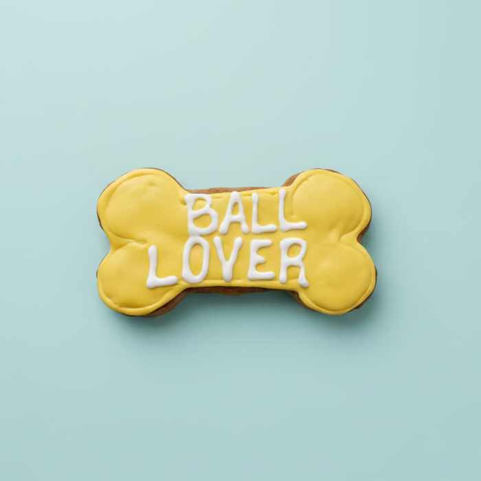 Funny Bones – Hand-Decorated Gourmet Dog Cookie