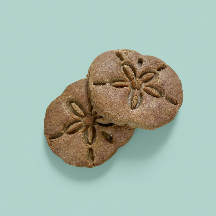 Sea Life – Hand-Decorated Gourmet Dog Cookie