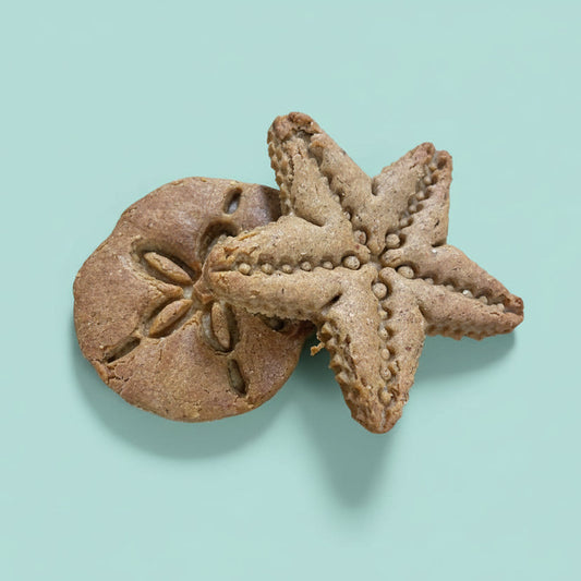 Sea Life – Hand-Decorated Gourmet Dog Cookie